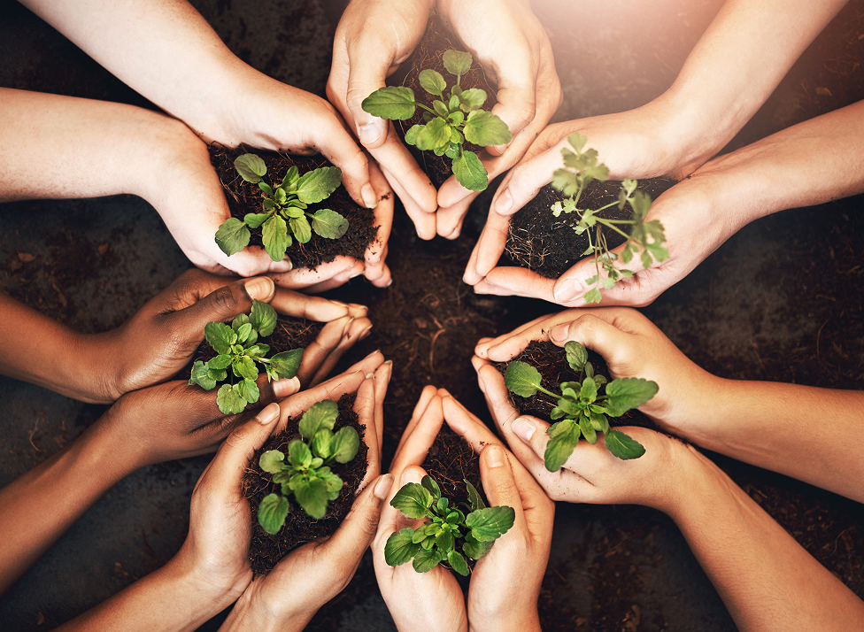 Yüksel Parts Otomativ Yedek Parça